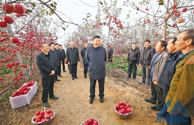 習(xí)近平在陜西延安和河南安陽考察時強(qiáng)調(diào) 全面推進(jìn)鄉(xiāng)村振興 為實現(xiàn)農(nóng)業(yè)農(nóng)村現(xiàn)代化而不懈奮斗 丁薛祥陪同考察